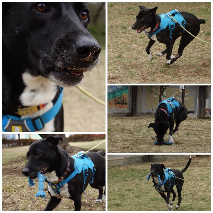 06dd3a4d fb54 458b 951e 7b6058408e6c 1615077284297