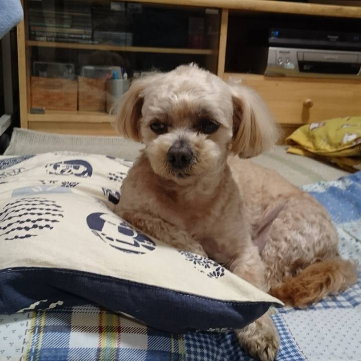 06dd6a9f b8e9 4d4b a968 307a213afcd1 1589412897061