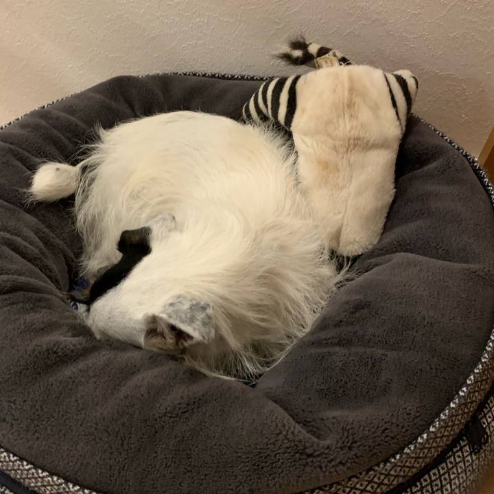 06dd714b 0d5e 4cc4 b4d3 15528e4f8c70 1665140907979