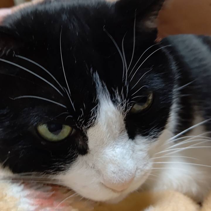 06dd8391 5051 4833 970c d5598af82ce1 1604730383887