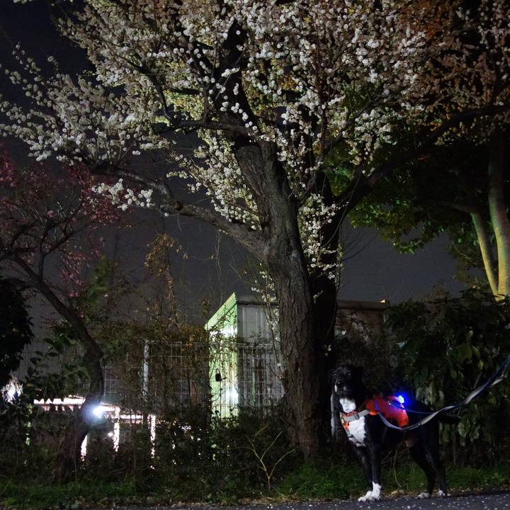 06dd87e2 a5e0 4686 a63e e5440a9c07eb 1739702646728