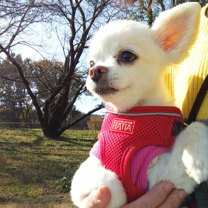 06dd8c5a e37c 4983 a88d 20c232693317 1605444395221