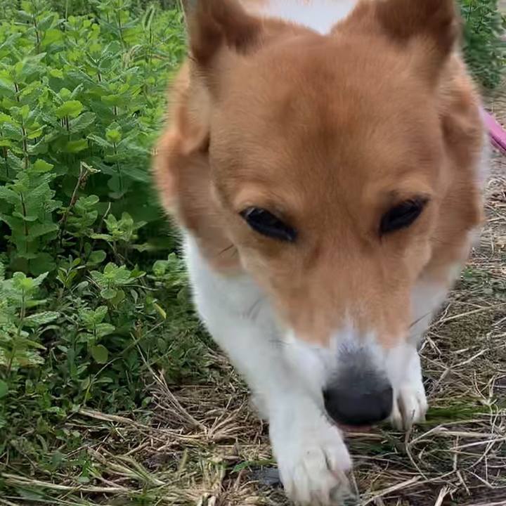 06ddc11a a3bf 4792 bb0d 665865f76a1f 1666494250713