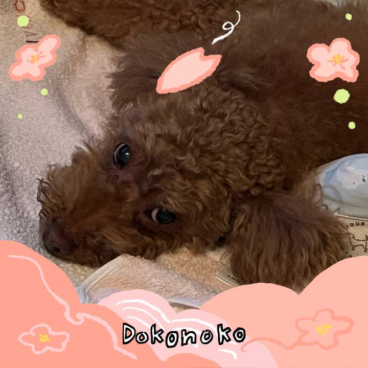 06ddc9c6 5624 40db 92da 24737cd581f6 1775299992097