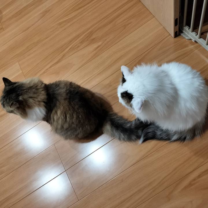 06dddc3d b9d5 4f8f 8e7f 1a9ac0afc550 1767363076116