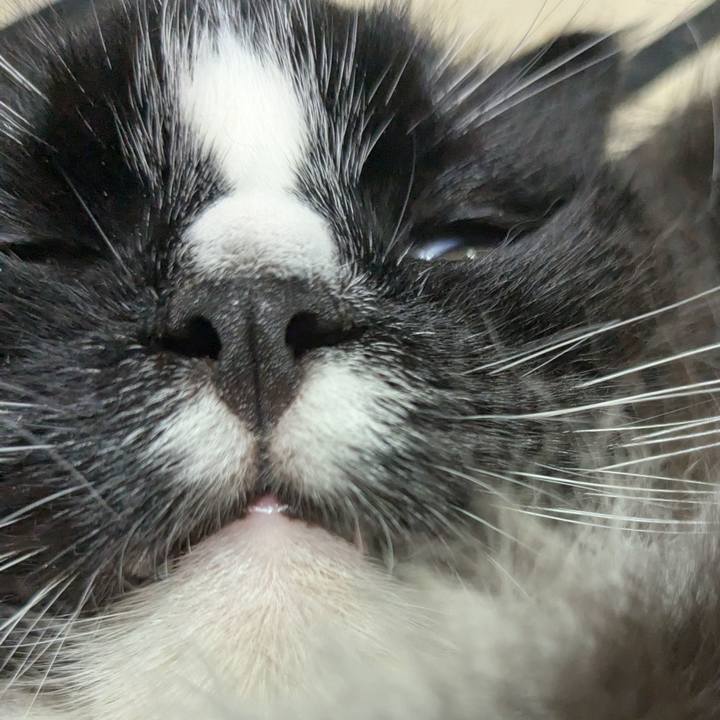 06de6d23 bb50 4770 b5df e56184527285 1755736914138