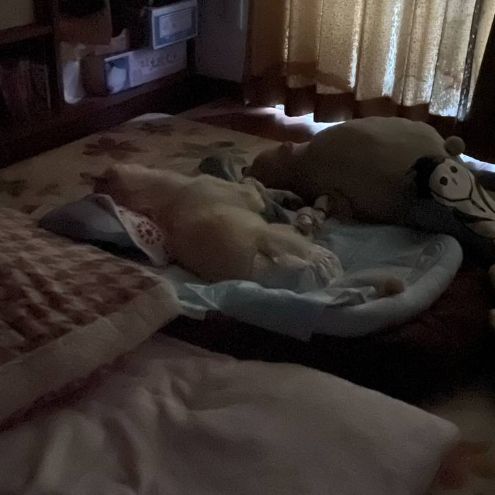 06de9d95 12ee 4ce5 99e2 d452e9529e4e 1687549674742