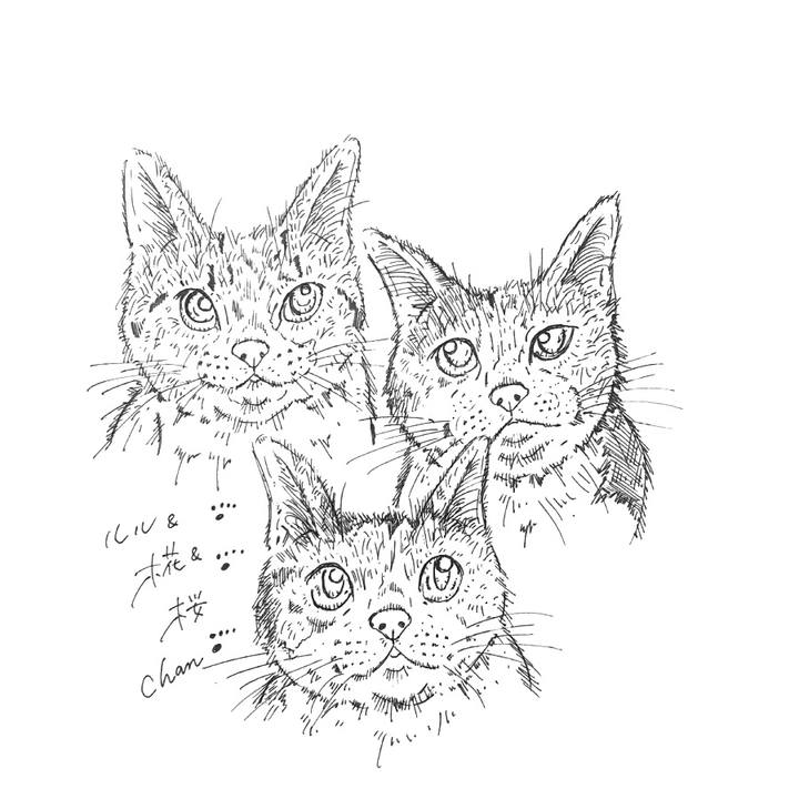 06dead5a 99b1 4855 a5e8 ea1b3190916f 1582907104975