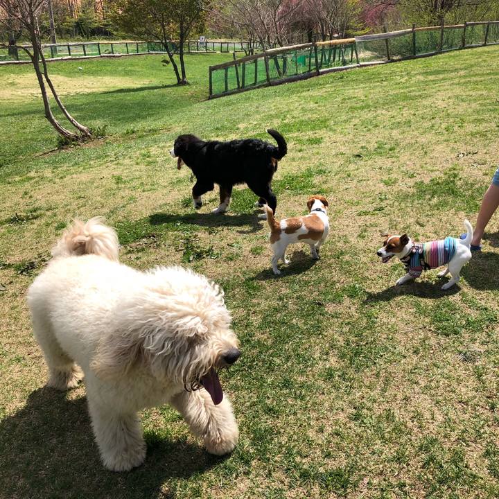 06deb849 4e40 4cf0 86ea 4003075c1eed 1525091299280