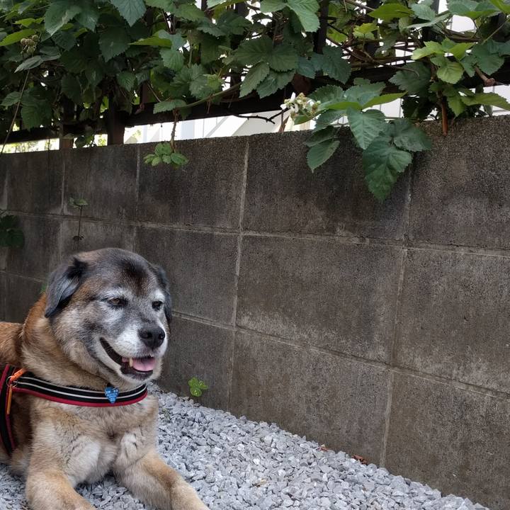 06decd88 8955 4ce2 bdf8 14670a1c853d 1528416496756