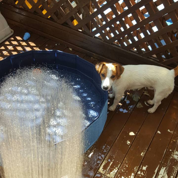 06def66d 799e 4338 9a70 68f3d73919f9 1565068295762