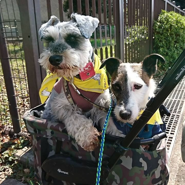 06df0bad cb50 4f24 9526 1a458206c9dc 1555139956361