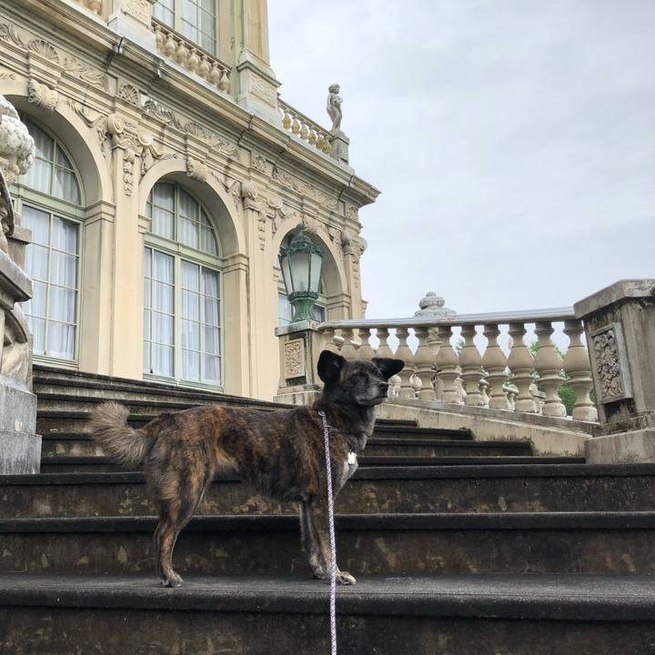 06df0dbe 049e 4db4 ab11 37a05777045a 1563542450044