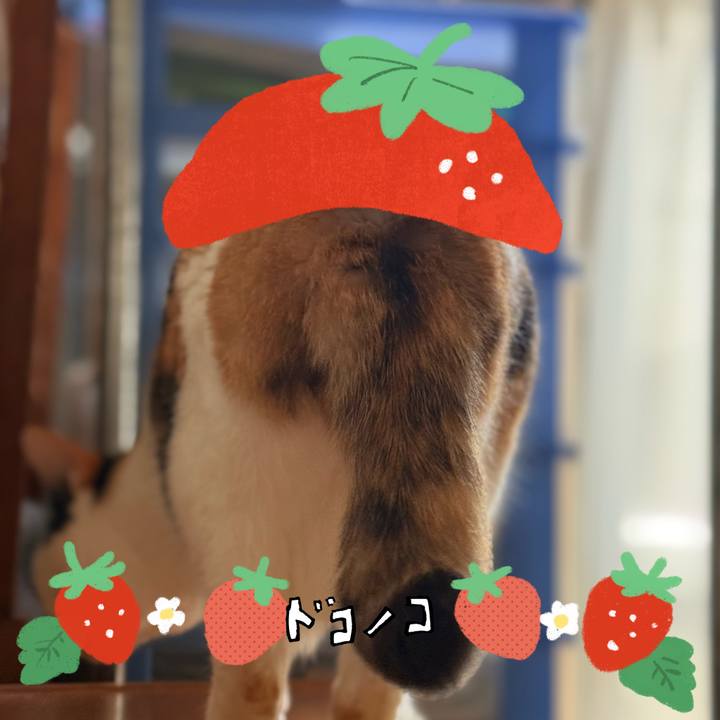 06df1ac5 d9bf 48e3 94f8 5fe423568e68 1775440424567