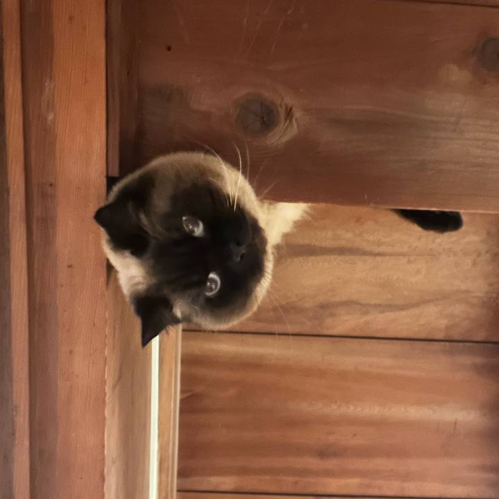 06df2812 7245 49de a4e0 5354ab94792f 1676950787604