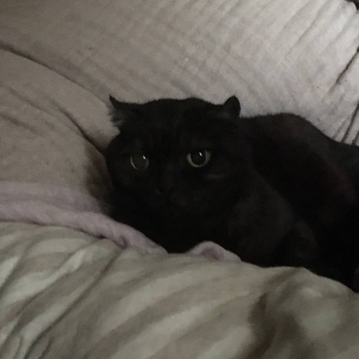 06df40ce 1b8e 4dcb 8f1a 864bd8703440 1548651243470