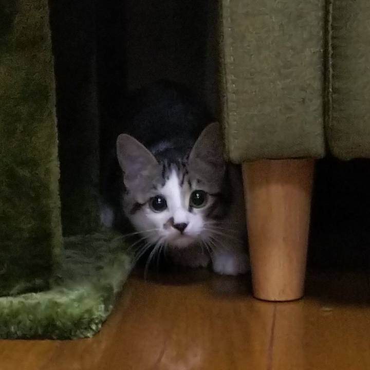 06df4980 28bc 423f 934c b251e96aacfa 1609936470433