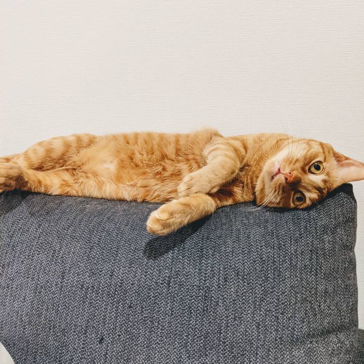 06df4a7f 6f1e 49d1 b1ff c97593d2ef1a 1620624739530