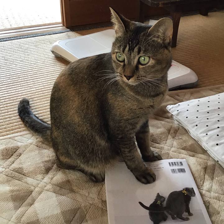 06df6933 d177 423c af5d 6a6c4e1d3d90 1604448997584