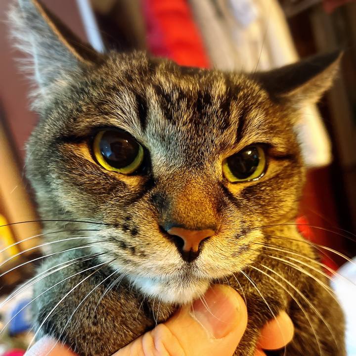 06df6936 f095 4177 a599 53de2ebe9b19 1647863377612