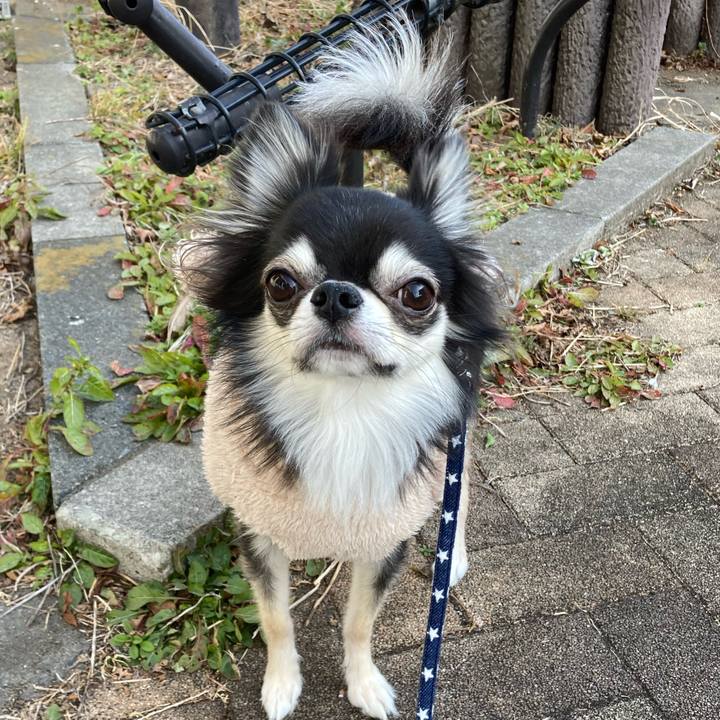 06df79a0 38e2 4f7c aece c829de037105 1643860178779