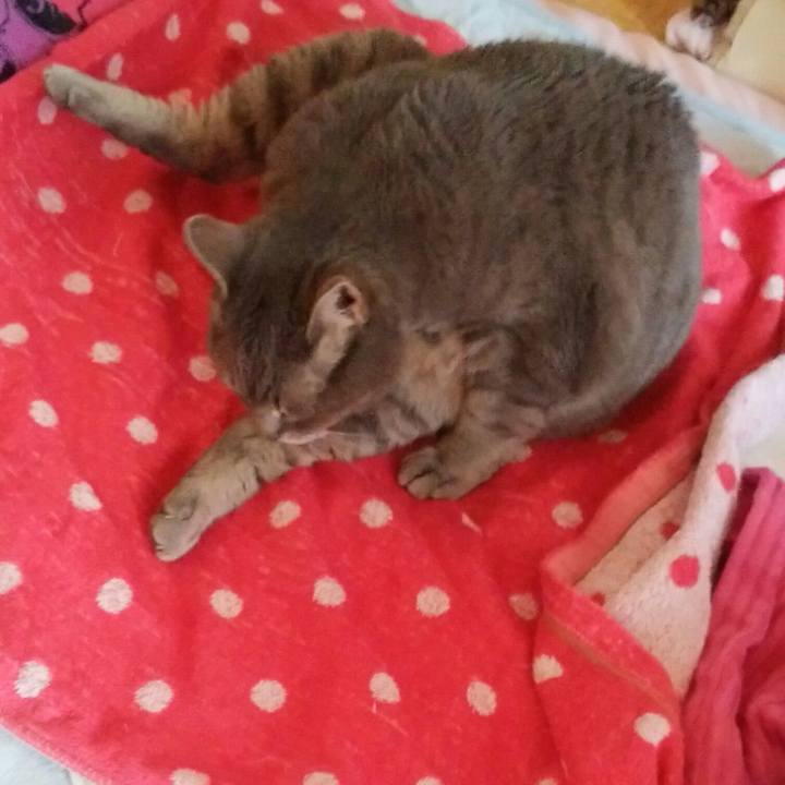 06df97c8 c2ee 474a 8138 4ecbce57380d 1590272503852