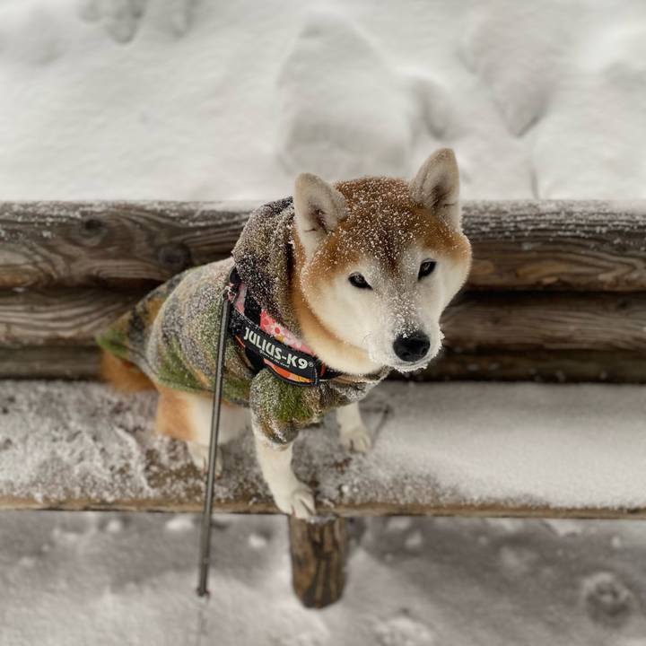 06dfab74 2755 475d 81a0 19e435aecb6b 1674610602679