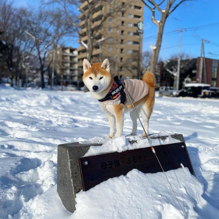 06dfc3e0 bcb9 4d22 9301 8f8fcb482427 1674706264974