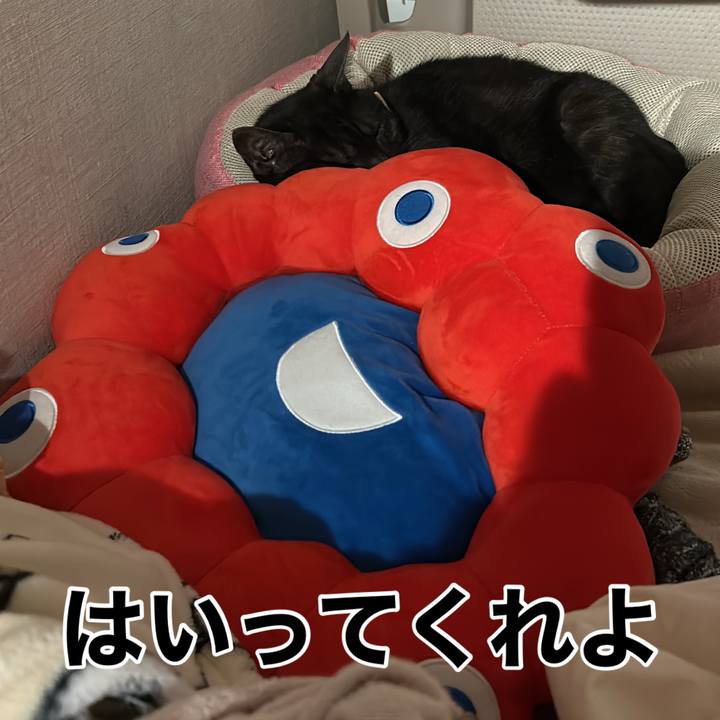 06e00055 3c7e 4d5c be76 28b0174f1dc4 1761827592899