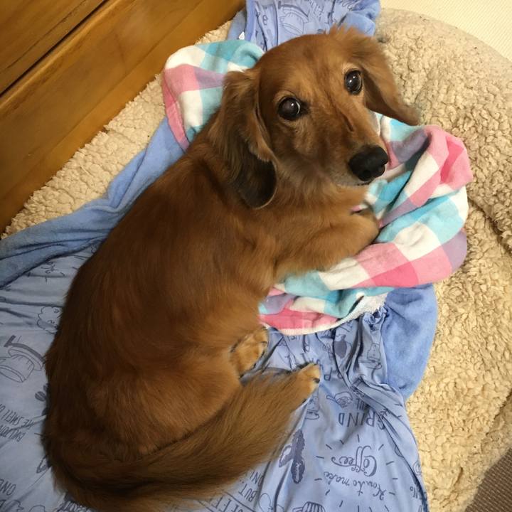 06e01c67 27df 4d79 9c56 468230878dca 1602768700121