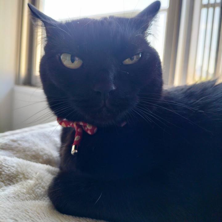 06e03e6b 5302 46e7 a075 3888b2bc568e 1686092910813