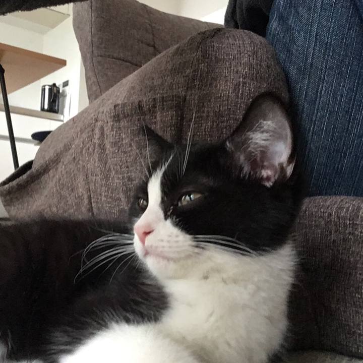 06e04032 ead6 4b68 ae60 204959d96011 1530522333788