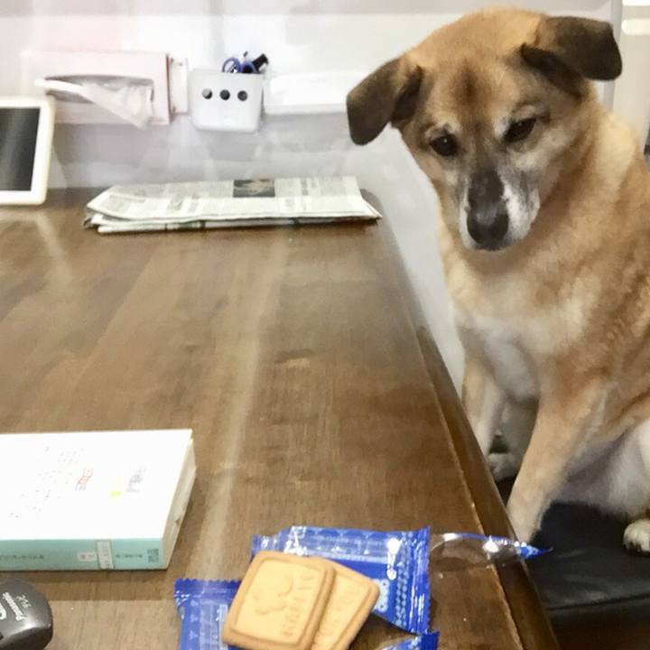 06e0410c 40ae 4b6c b83a a7793fb028b2 1552729595355