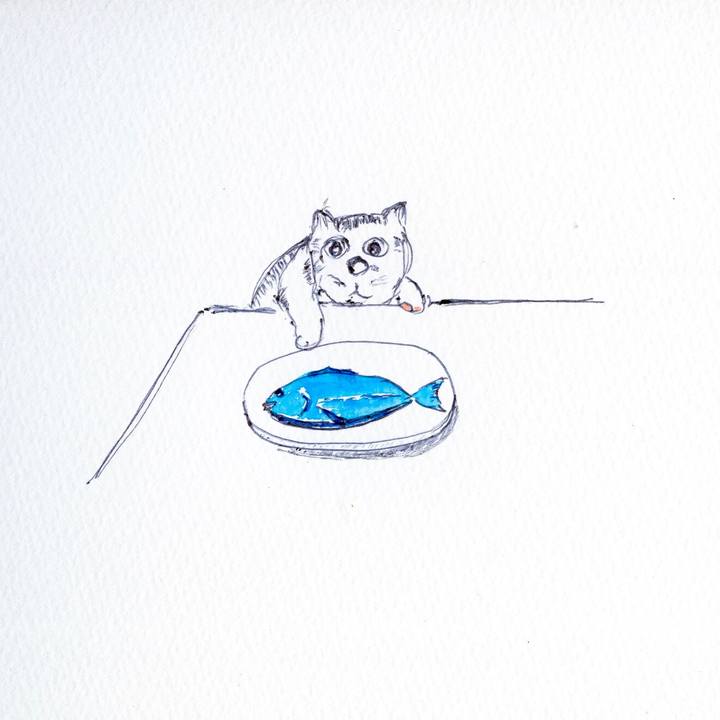 06e04cce 6638 4bcd 9ae6 df8b5a099068 1600607363784