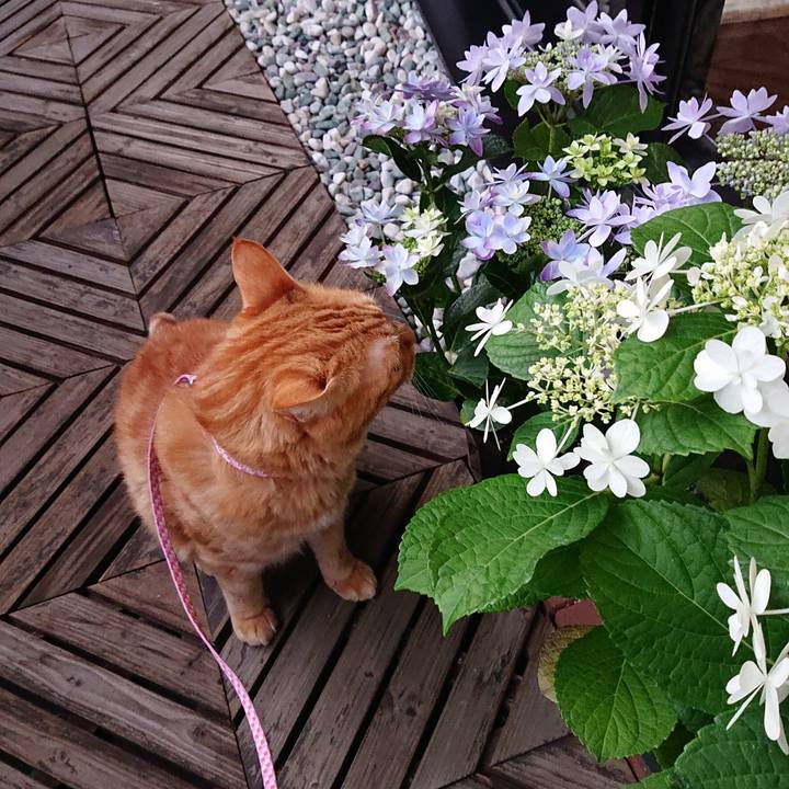 06e05b0a d912 49c3 ae77 bc5afe36a127 1588746374022