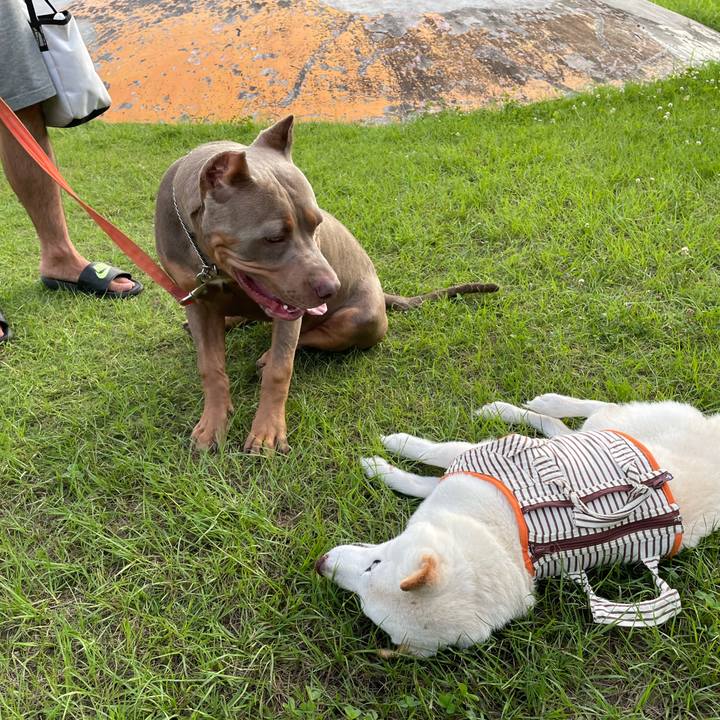 06e099b8 a01e 4aba 9e0e 8700bd304ce7 1656251786612