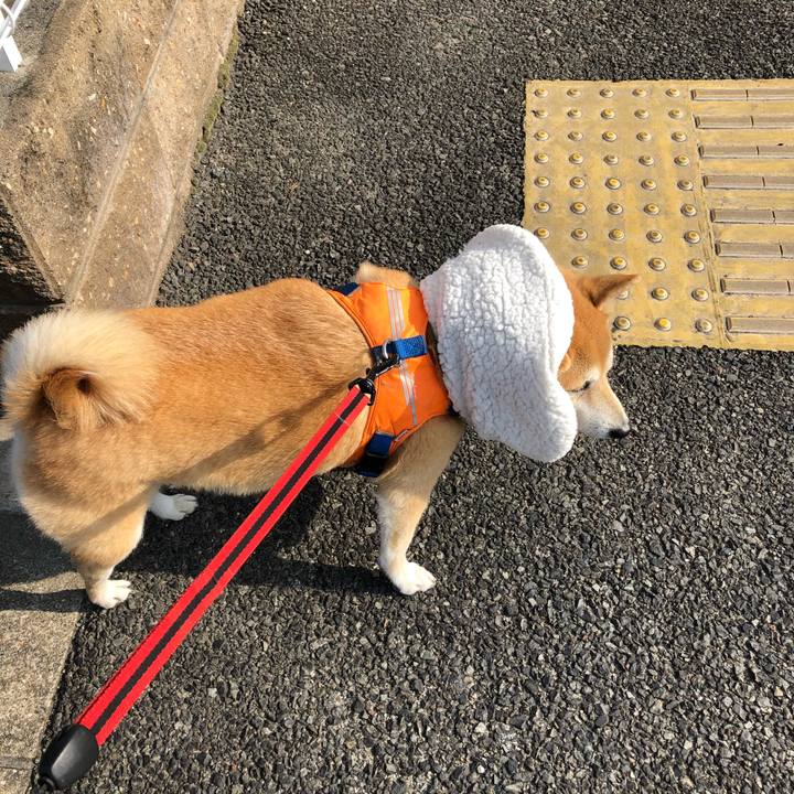 06e0bac2 9eb6 49ab 8467 e142ab2b0fcd 1548330844581