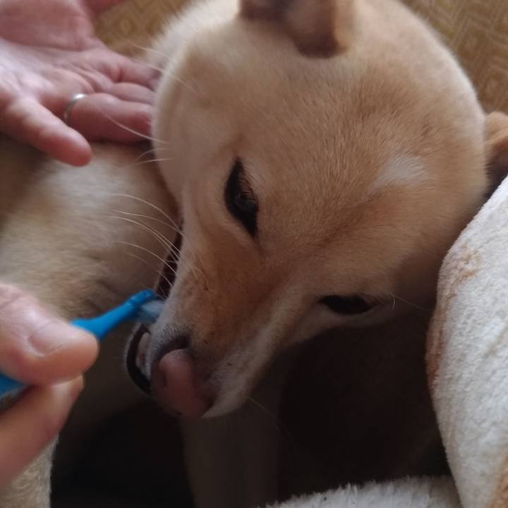 06e14281 26ff 4ec6 8181 85c1e5d34b59 1550792236927