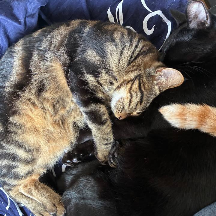 06e14a00 96a6 4bc8 8912 2fb2291bb323 1760312198921