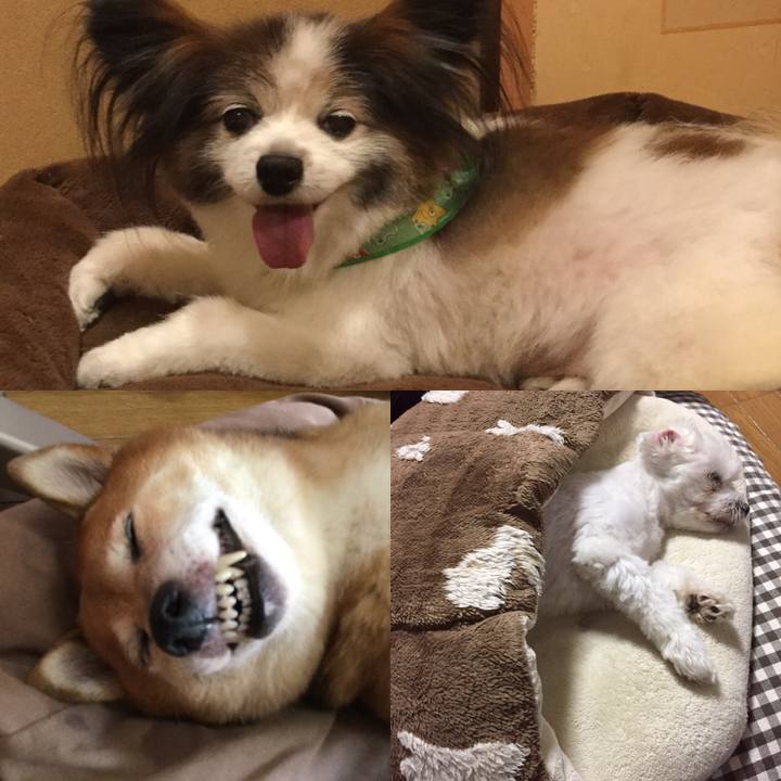 06e152b8 f7d6 4825 aa04 067cd1b93ff3 1573559076520