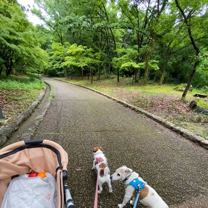 06e1671a c24d 44c2 89b9 4e58d3f83e07 1718497356018