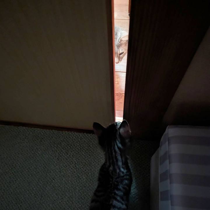 06e16f4b d4ce 44f0 961e 4c66715e1661 1702009478440