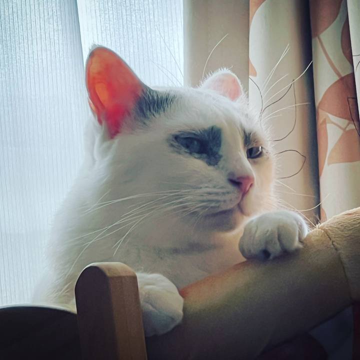 06e193f5 f028 4749 afd8 86c9616d8174 1668265151077