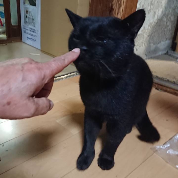 06e19b83 bfa4 40ca 82f4 99d7ce2a02ff 1630753700432