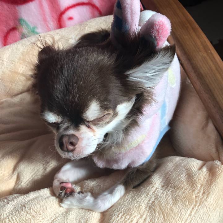 06e1a6a2 5884 4092 8b77 22e0e408b983 1514519008396