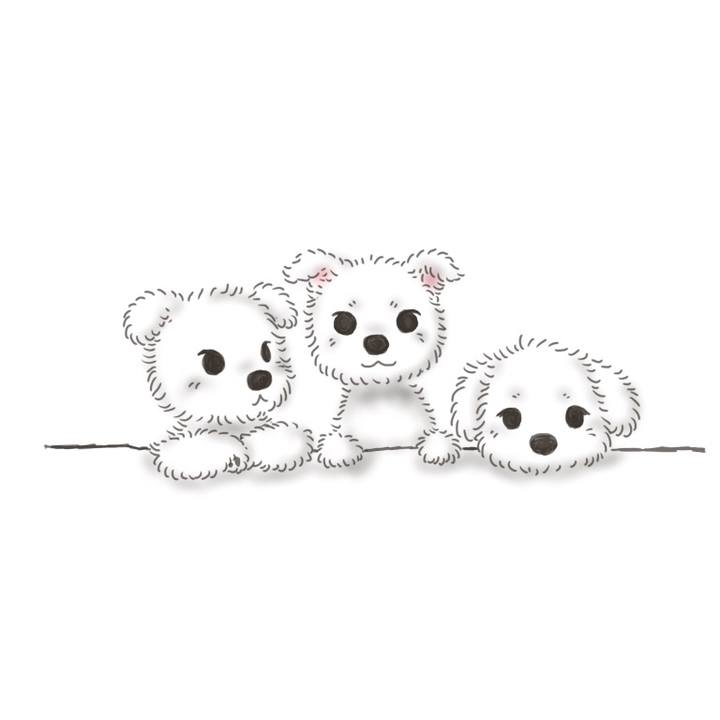 06e1ae79 dd42 4ef5 9c66 84ffb2dc5ae8 1582009782402