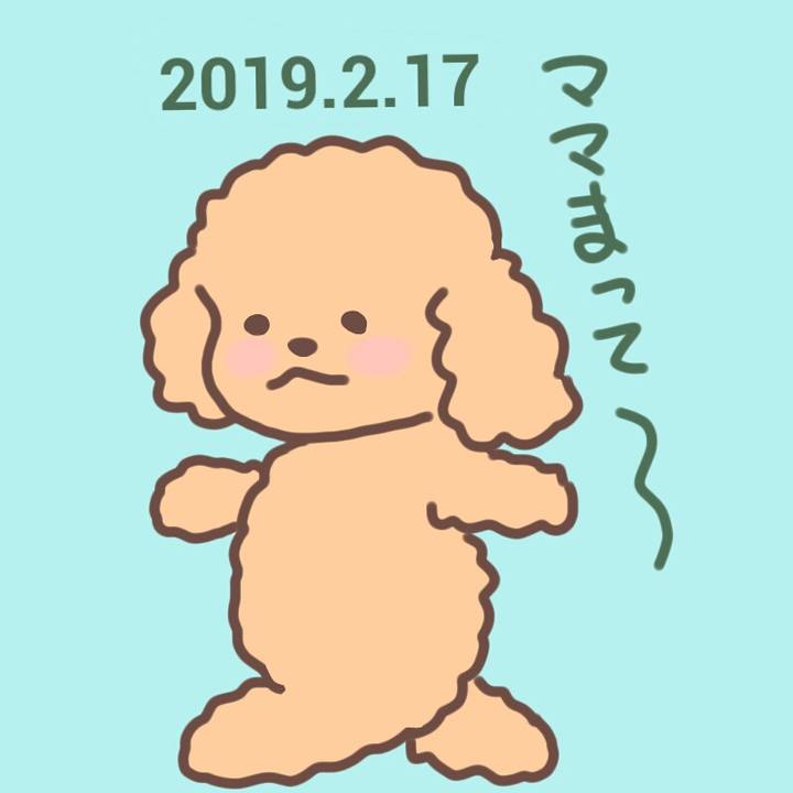 06e1b1eb a013 48cf ade7 103783c27c2b 1550366156314