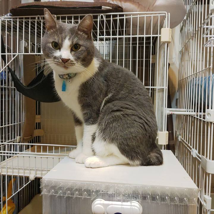 06e1de85 acc2 48c3 ab39 913757a24677 1679919241751