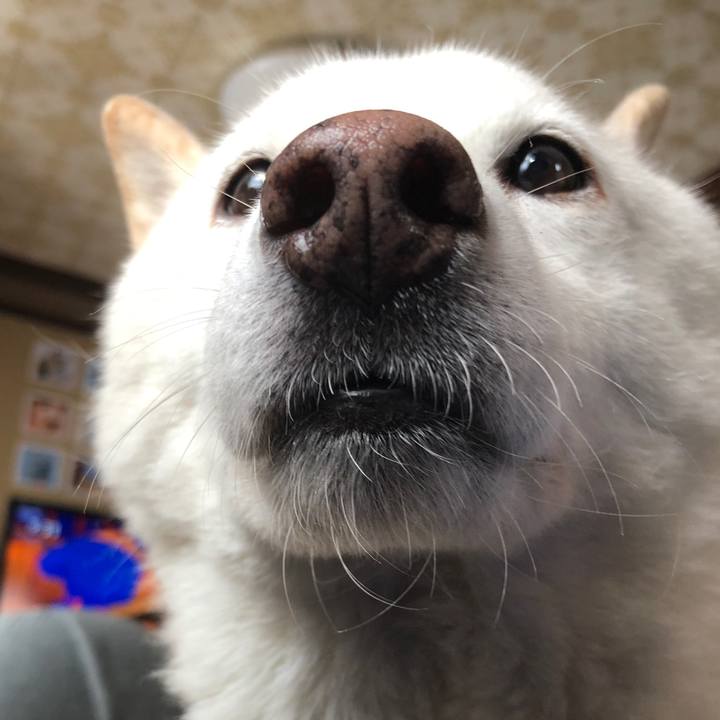 06e1f5c8 5843 4b51 b49b 36499d9dad44 1739579654179