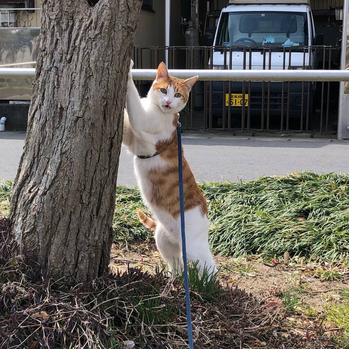 06e22dcd 61f9 4a44 82c8 8bd79b0a00e3 1554601287592